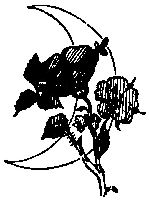 Flowers and leaves against a crescent moon.