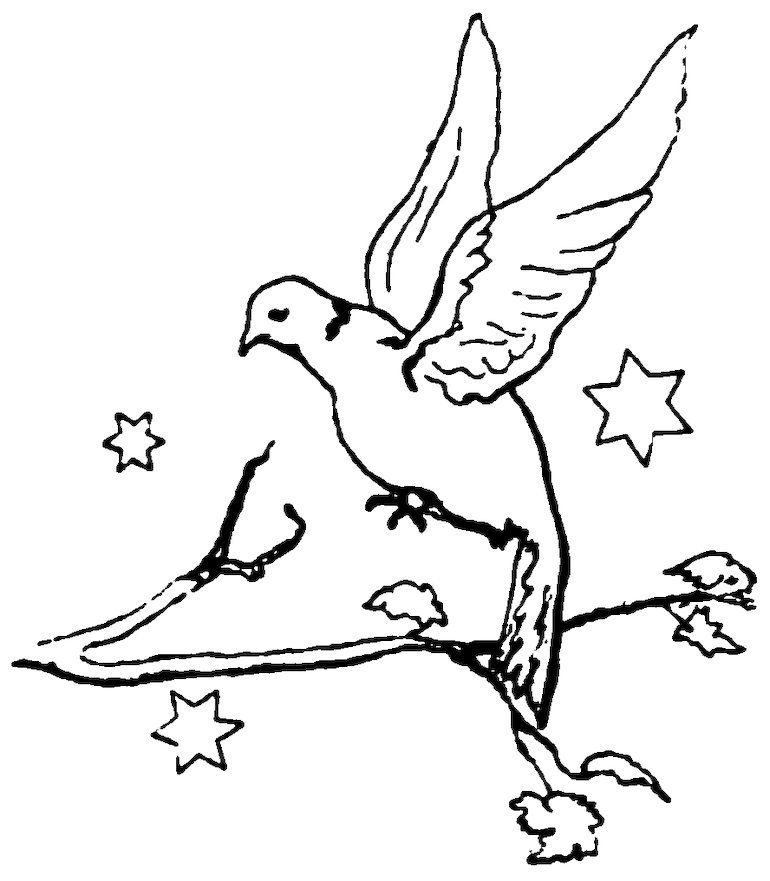 A bird taking flight from a branch surrounded by stars.