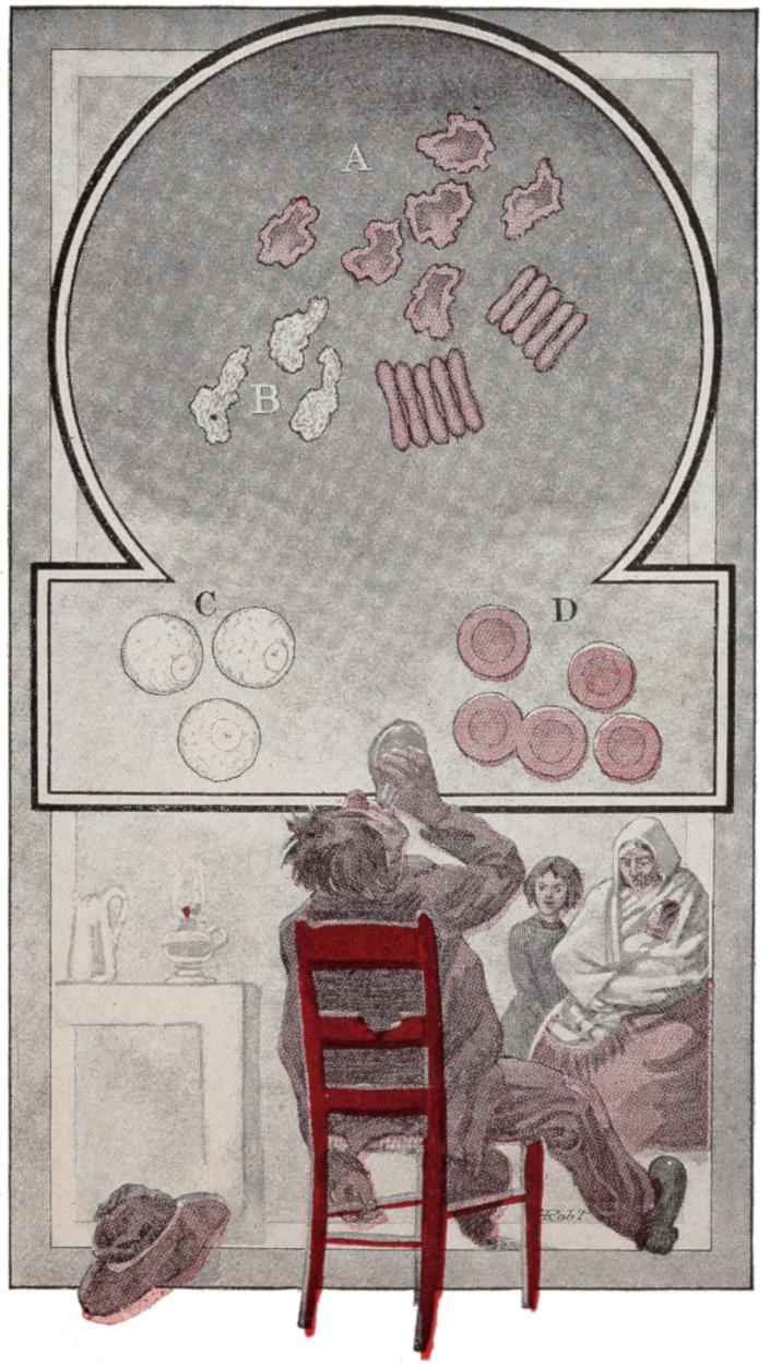 Diseased blood corpuscles; woman with girl and baby watching man getting drunk