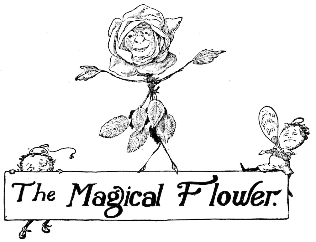 <i>The Magical Flower.</i>