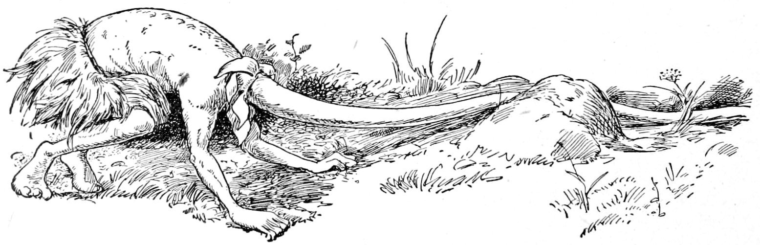 A creature with an exceptionally long, snaking neck stretching out along the ground towards a rock.