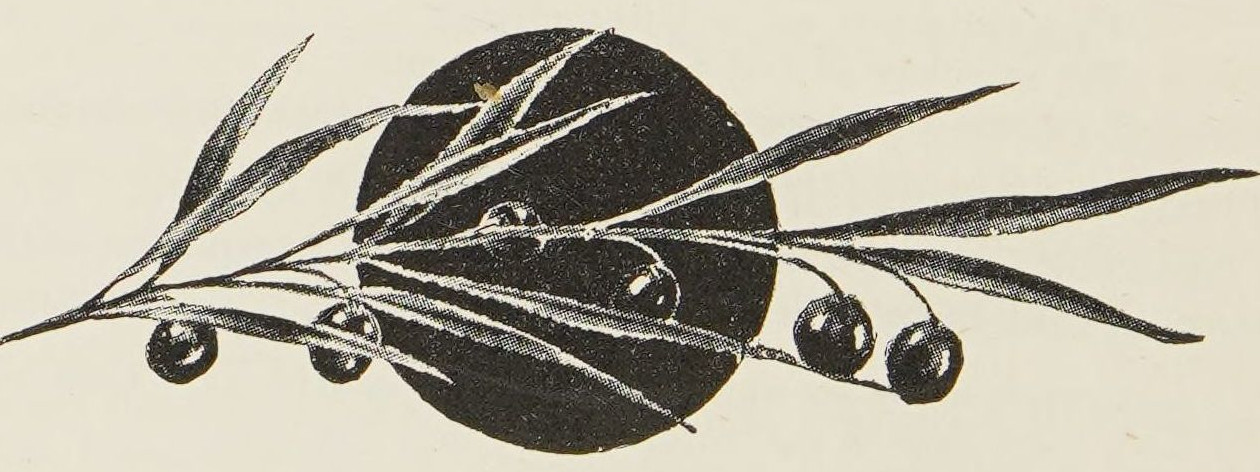 Olive Branch.