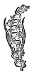 image015