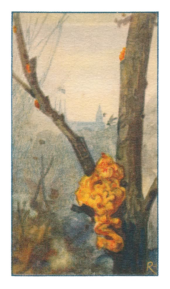 GELE TRILZWAM