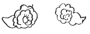 Abstract designs resembling flowers or cumulus clouds.