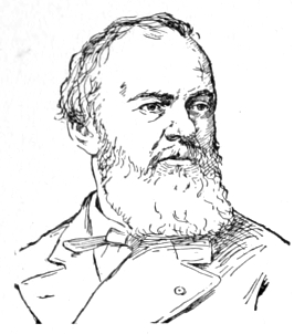 Bust of Henner, looking slightly right; full beard and mustache, thin wavy hair