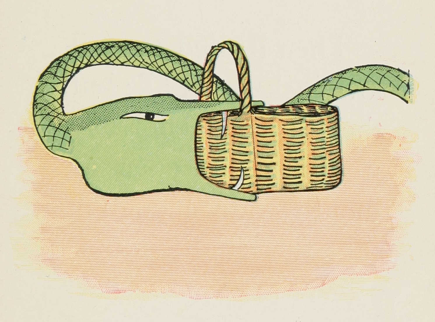 The snake tries to swallow the entire basket case.
