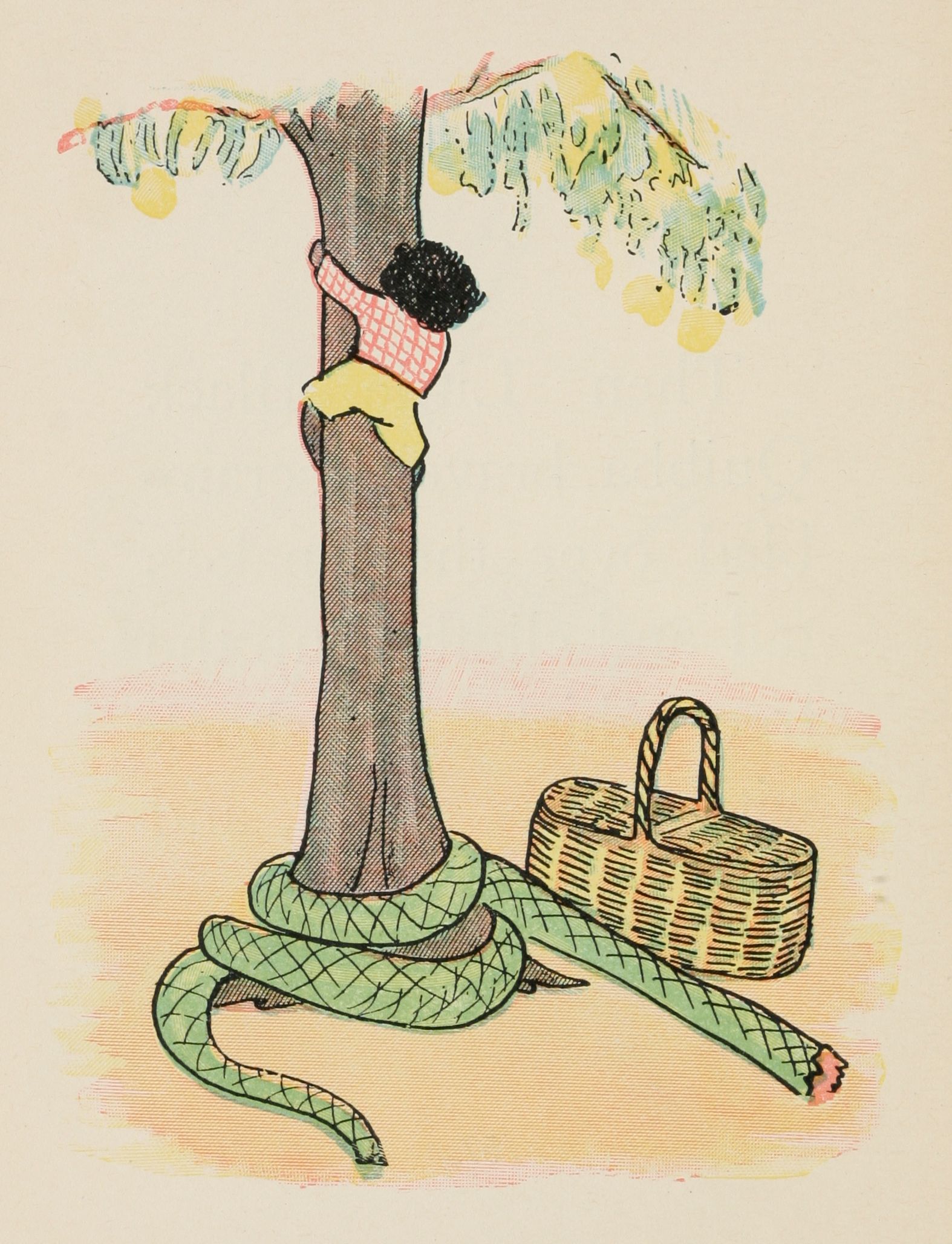 Quibba is climbing up a mango tree.