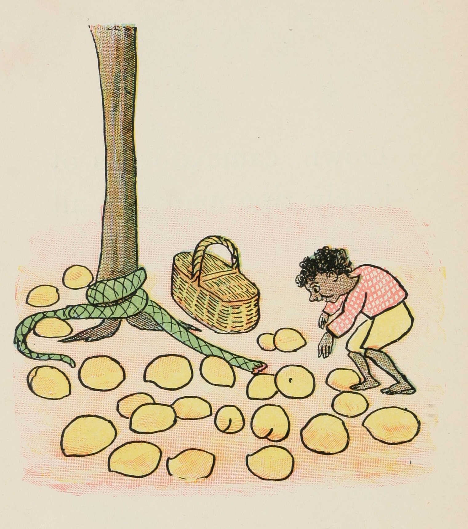 Quibba is standing next to a mango tree with lots of mangos on the ground, plus the remains of the snake tied to the tree.