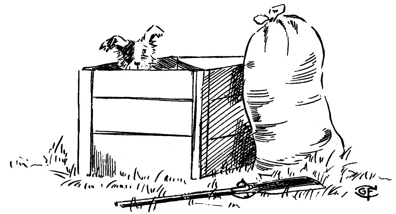 Rag peeks out
of the top of a box surrounded by a sack and spade lying in the grass