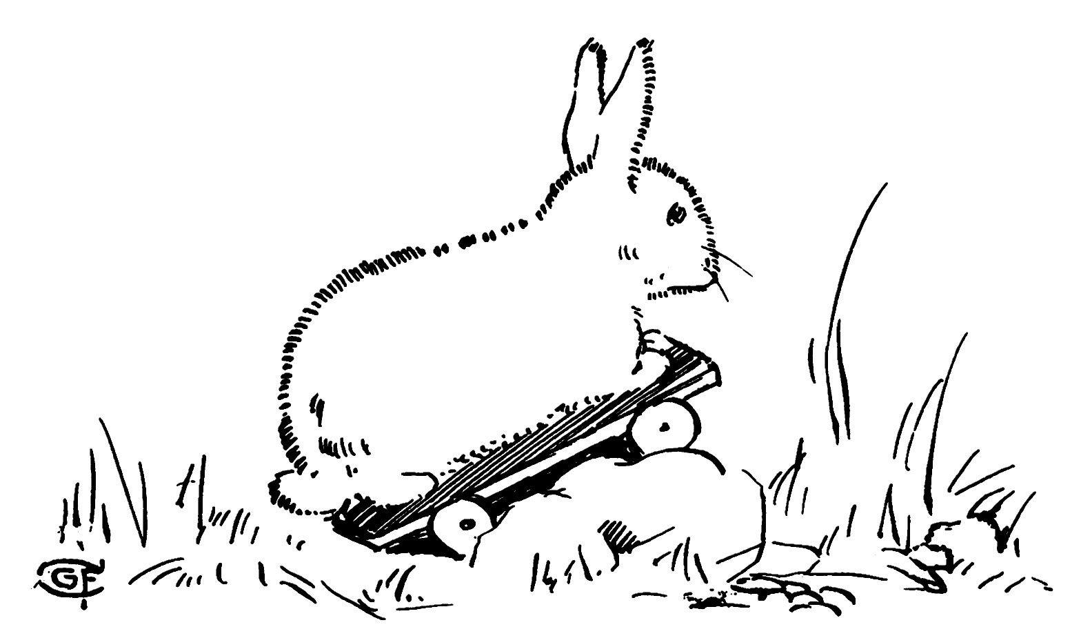Savage Bunny on skateboard
