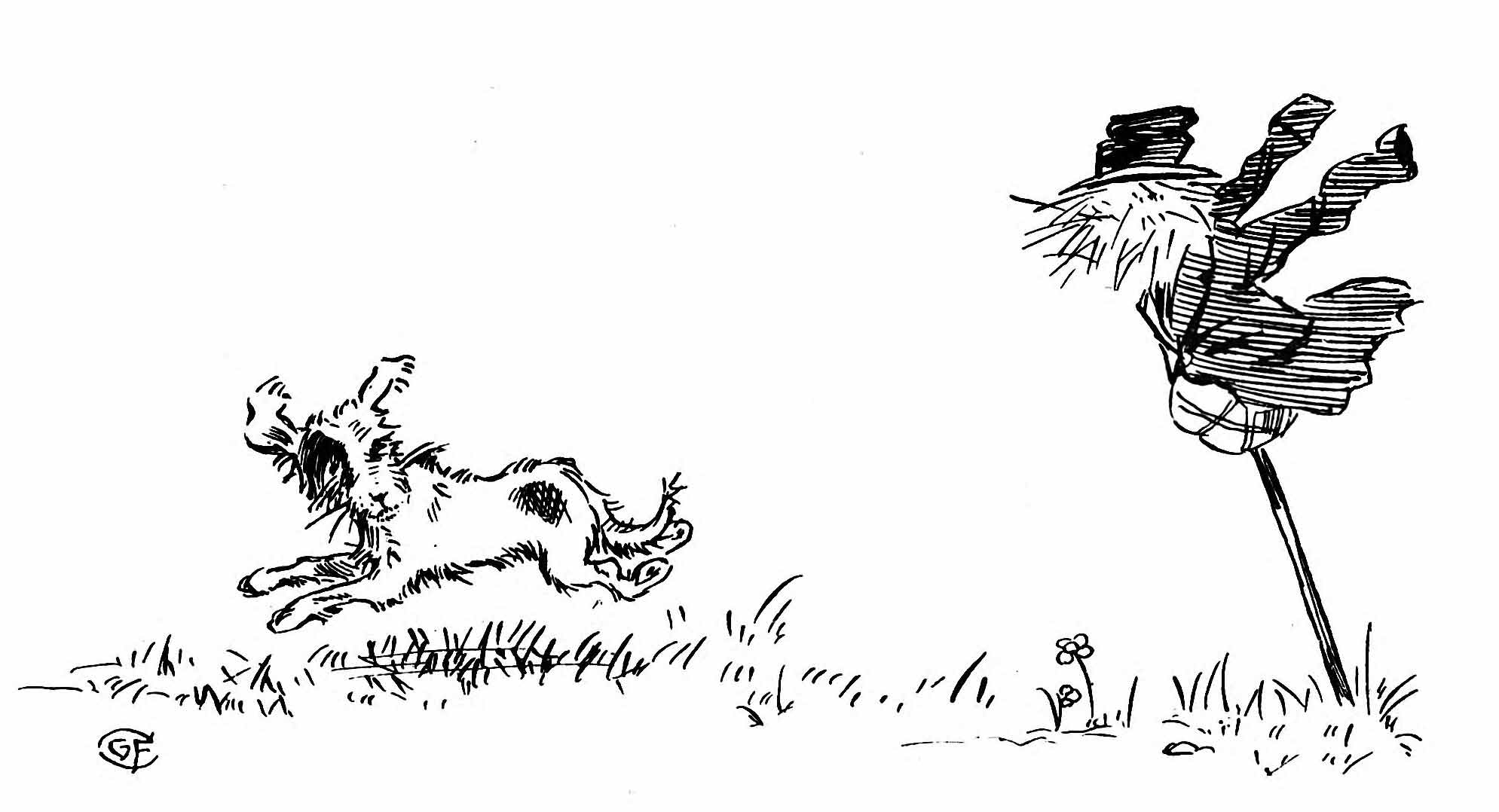 Rag runs away
from the scarecrow