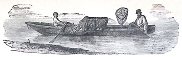 image009