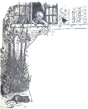 image016