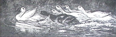 image024