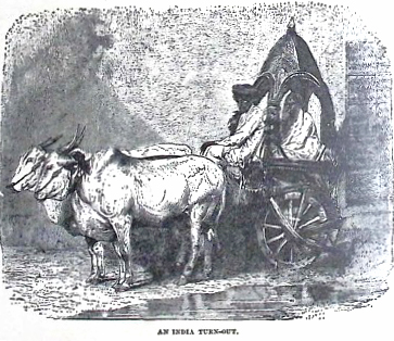 image086