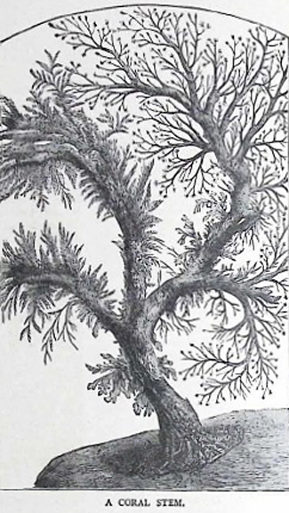 image088