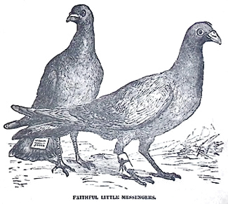 image099
