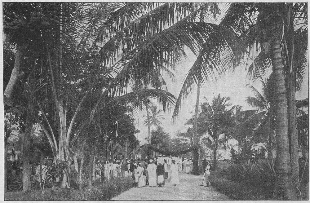 Lindi, Straße am Strande.