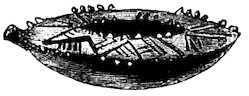 A low, oval ceramic vessel with a flat, decorated lid rimmed with protruding studs.