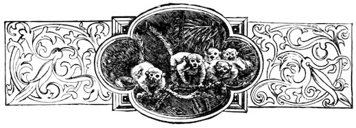A group of lemurs with long tails in a forest setting, centered inside an ornate lobed frame flanked by scrolling panels.