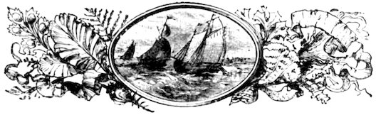 Sailing ships on rough water within an oval frame, flanked by decorative marine foliage and coral.