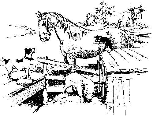 [horse and pigs]