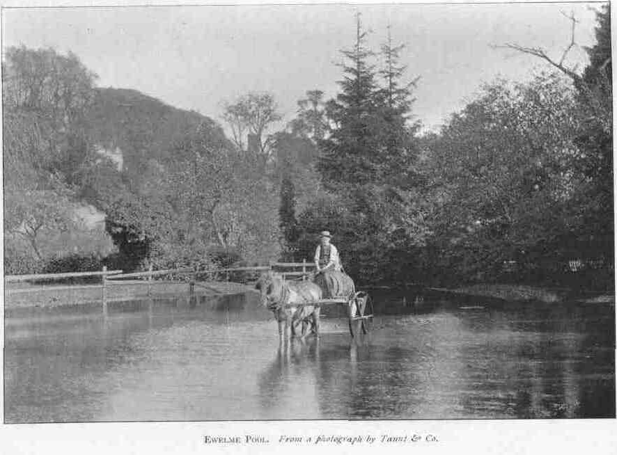 EWELME POOL.
From a photograph by Taunt & Co.