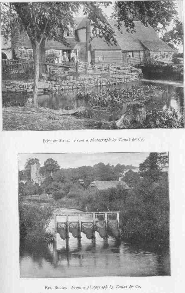 BOTLEY MILL.
From a photograph by Taunt & Co.
EEL BUCKS.
From a photograph by Taunt & Co.