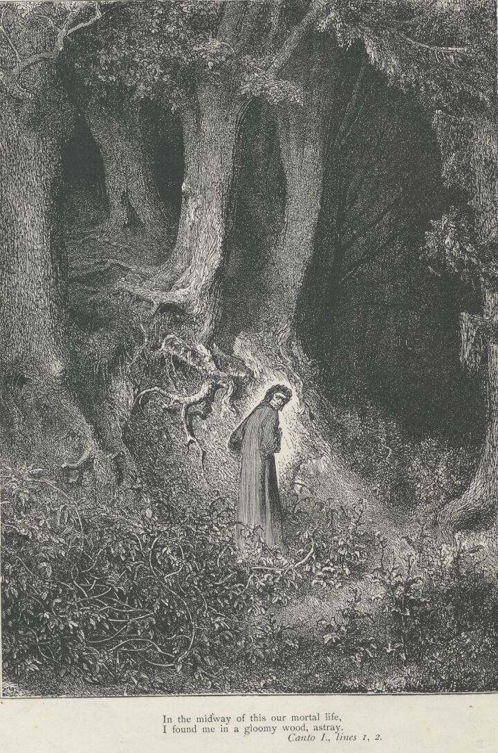 l'Inferno (The Vision of Hell) by the 13c Italian poet Dante Alighieri,  illustrated by the 19c French artist Gustave Doré. The Seventh Circle of  Hell, where the violent are punished. Here blasphemers