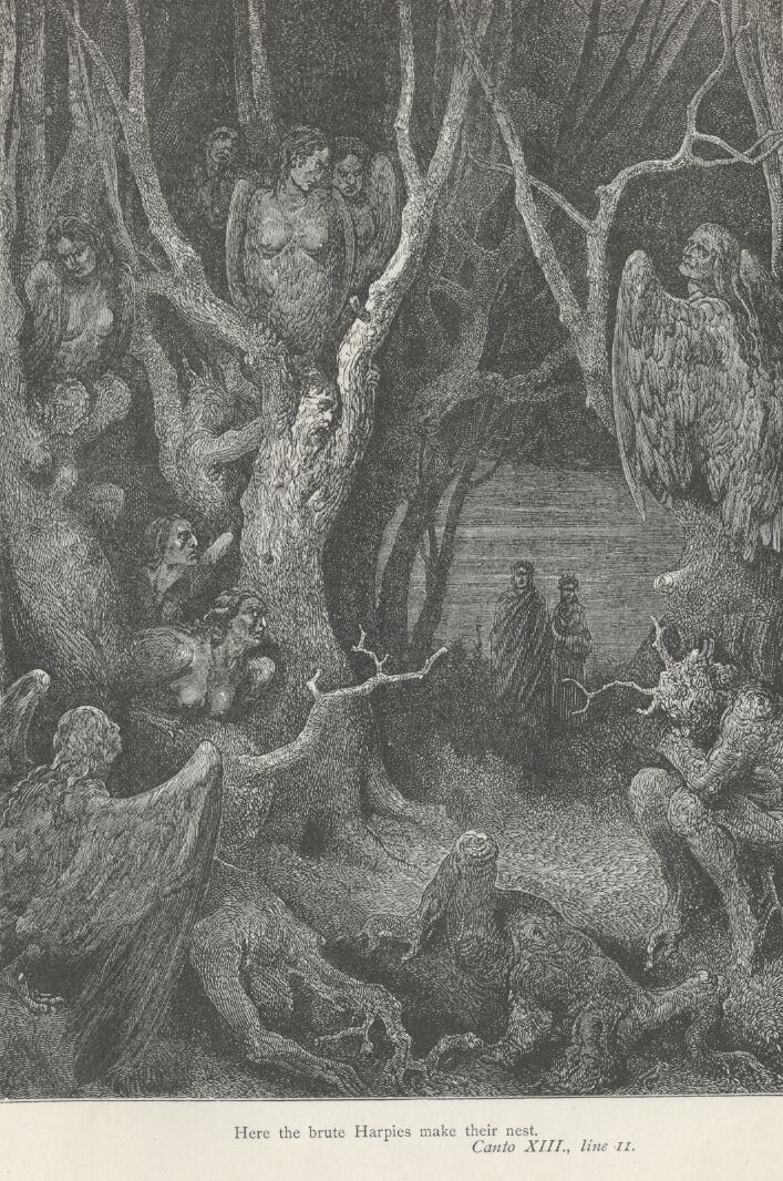 l'Inferno (The Vision of Hell) by the 13c Italian poet Dante Alighieri,  illustrated by the 19c French artist Gustave Doré. The Seventh Circle of  Hell, where the violent are punished. Here blasphemers