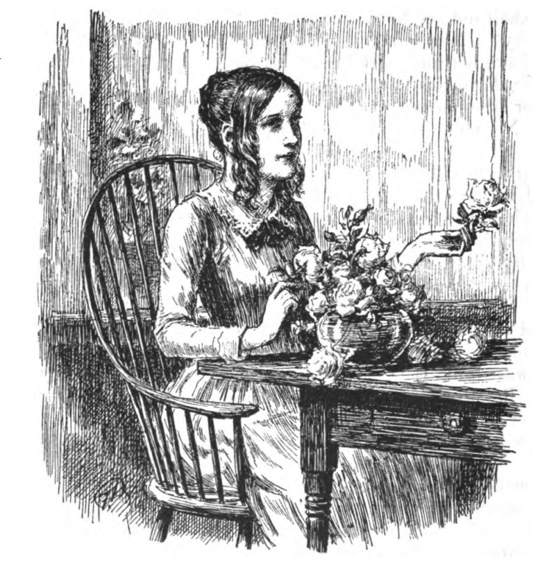 'Look at these roses, and don't ask me for papers!' 'Look at these roses, and don't ask me for papers!'