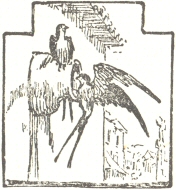 Decorative graphic of two birds