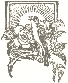 Decorative graphic of nightingale and rose