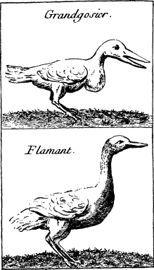 TOP: Pelican—BOTTOM: Wood Stock (on p. 260)