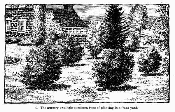 Illustration: The nursery or single-specimen type
of planting in a front yard