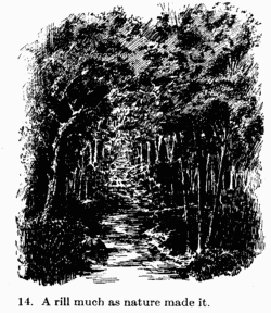 [Illustration: Fig. 14. A rill much as nature made it.]