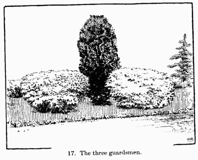 [Illustration: 17. The three guardsmen.]