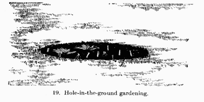 [Illustration: Fig. 19 Hole-in-the-ground gardening]