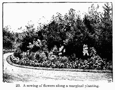 [Illustration: 23. A sowing of flowers along a marginal planting.]