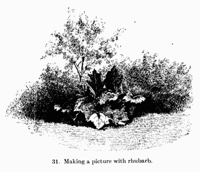 [Illustration: Fig. 31. Making a picture with rhubarb.]
