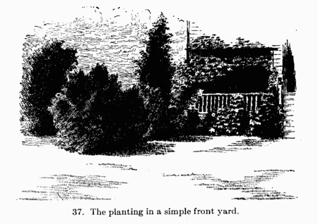 [Illustration: 37. The planting in a simple front yard.]