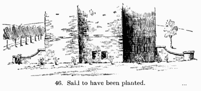 [Illustration: Fig. 46. Said to have been planted.]