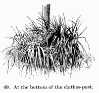 [Illustration: Fig. 49. At the bottom of the clothes-post.]