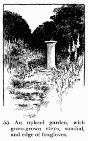 [Illustration: Fig. 55. An upland garden, with grass-grown steps,
sundial, and edge of foxgloves.]