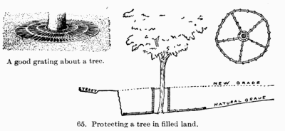 [Illustration: Fig. 65. Protecting a tree in filled land.]