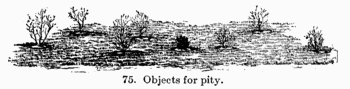 [Illustration: Fig. 75. Objects for pity.]