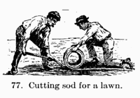 [Illustration: Fig. 77. Cutting sod for a
lawn.]