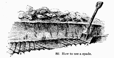 [Illustration: Fig. 80. How to use a spade.]
