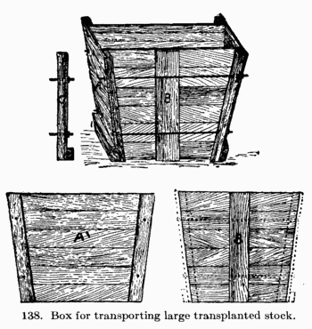 [Illustration: Fig. 138. Box for transporting
large transplanted stock.]
